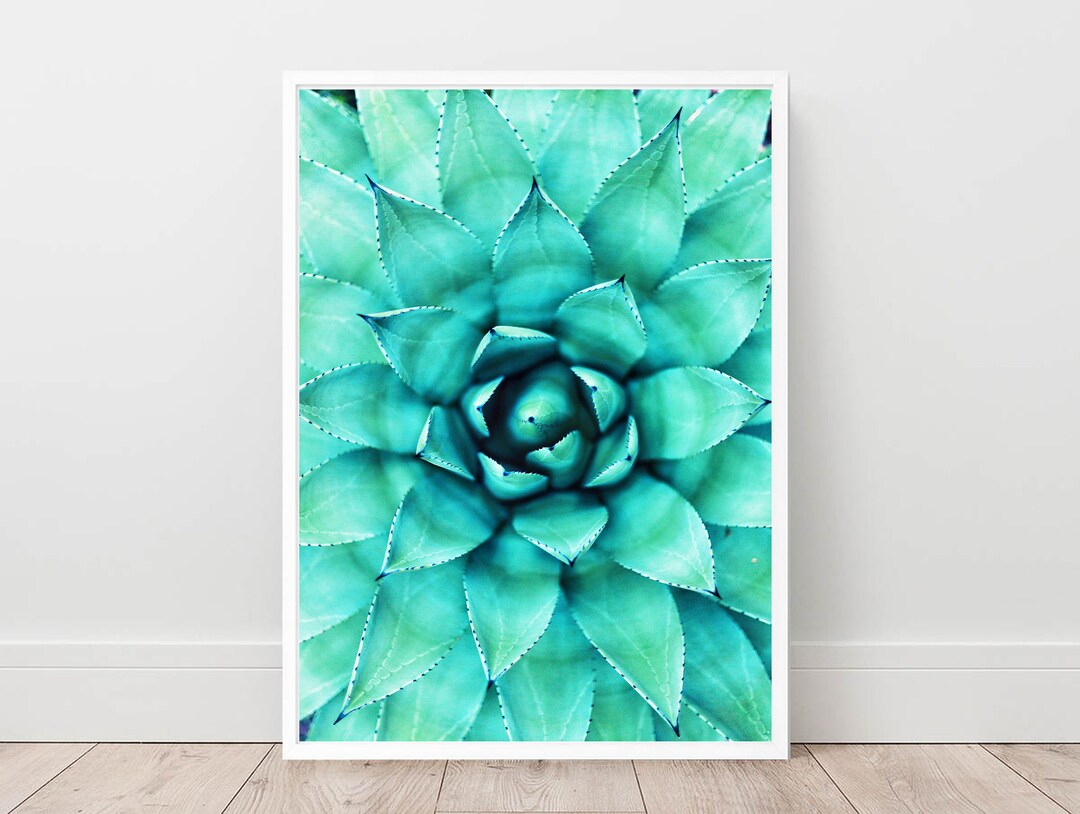 Cactus Print,succulent Print,cactus Wall Decor,botanical Print,cacti