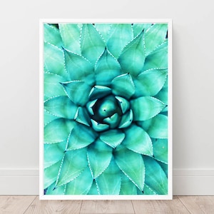 Kaktus Druck,Sukkulenten Druck,Kaktus Wand dekor,Botanischer Druck,Kakteen Wandkunst,Petrol Grün,Kaktus Fotografie,digitaler Download, Kaktus Poster