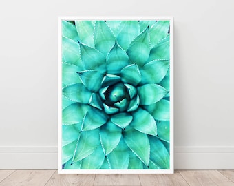 Teal Green Cactus Photography Print, Botanical Wall Art (Digital Download)