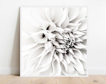 May include: A close-up of a white flower with delicate petals. The petals are arranged in a spiral pattern, creating a sense of movement and texture. The flower is in focus, while the background is blurred.