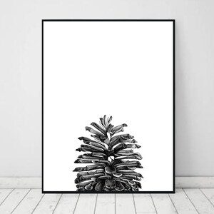 Peut inclure: Impression artistique encadrée en noir et blanc représentant une illustration détaillée d'une pomme de pin. L'œuvre est posée sur un fond blanc, avec la texture et la forme complexes de la pomme de pin mises en évidence. Le cadre est noir.