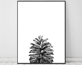 Pine Cone Art Print, Scandinavian Home Decor (Digital Download)