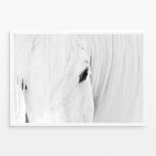 Black and White Horse Print DIGITAL DOWNLOAD Animal Etsy