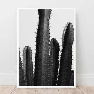 Cactus Print, Printable Wall Art, Black and White, Home Decor, Desert ...