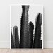 Cactus Print Printable Wall Art Black and White Home Decor - Etsy