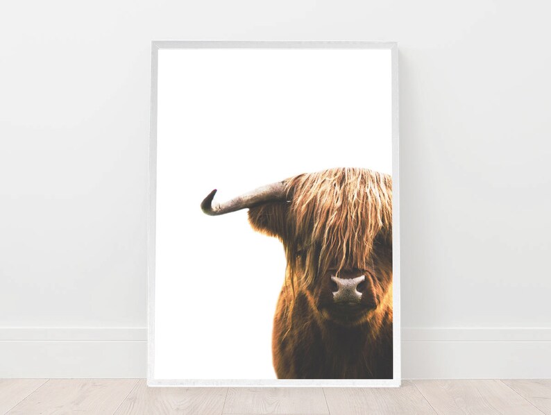YJ PREMIUMS 7 Kuh-Stifte – Niedliche Highland-Cow-Motive, Für Schule & Büro