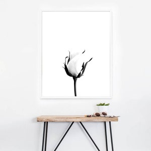 white rose print, flower wall art, minimal wall decor, botanical print, rose photography, white and black, digital download, rose art poster