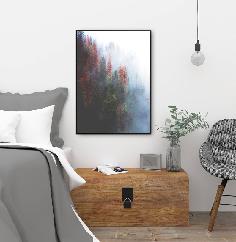May include: A framed photograph of a misty forest with tall trees in shades of green, brown, and red. The trees are partially obscured by fog, creating a dreamy and ethereal atmosphere.