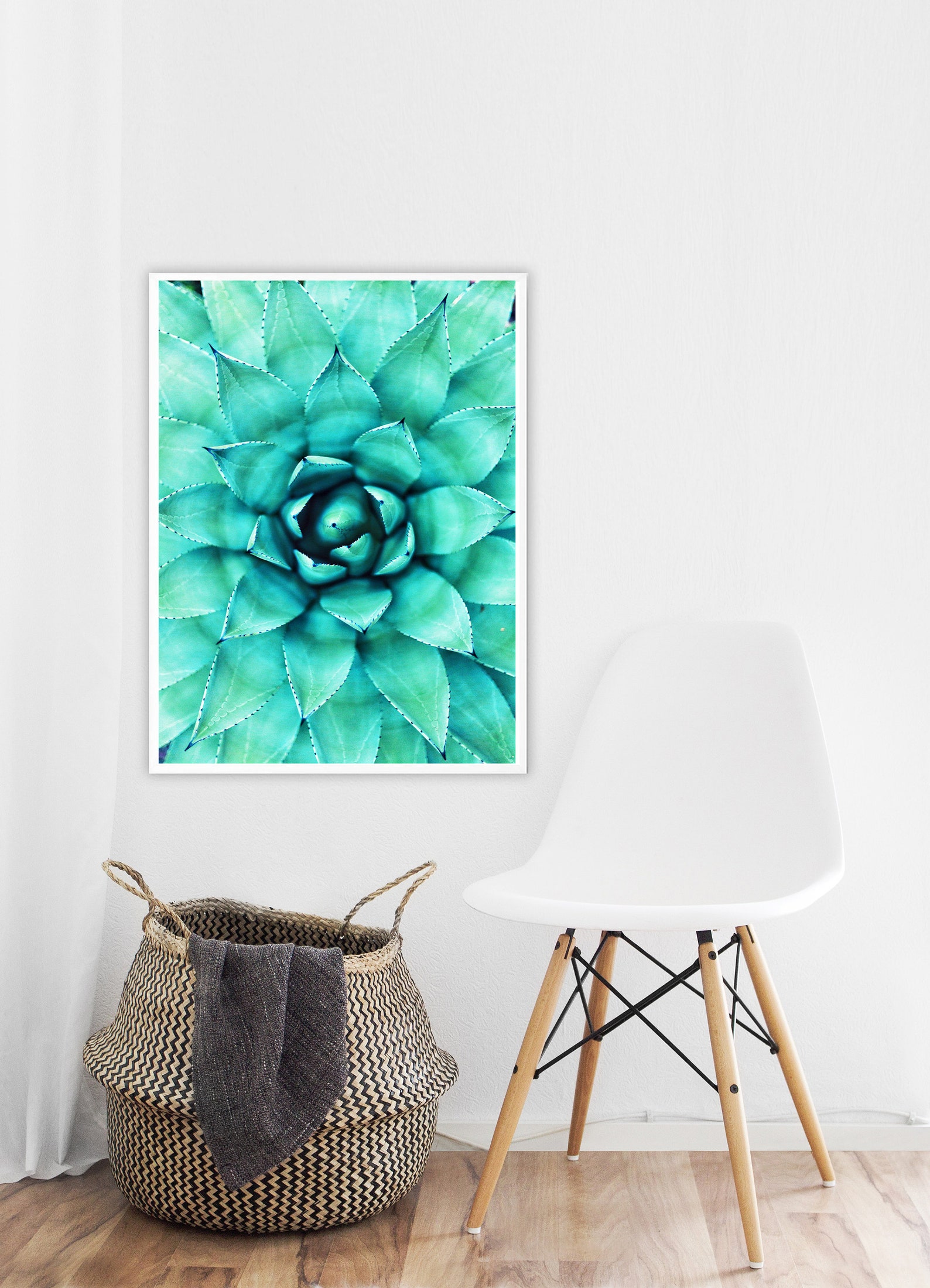 Cactus Printsucculent Printcactus Wall Decorbotanical Etsy Canada