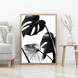 Monstera print, tropical leaves wall art, plant poster, black and white, minimal decor, bedroom digital download, botanical printable art image 3