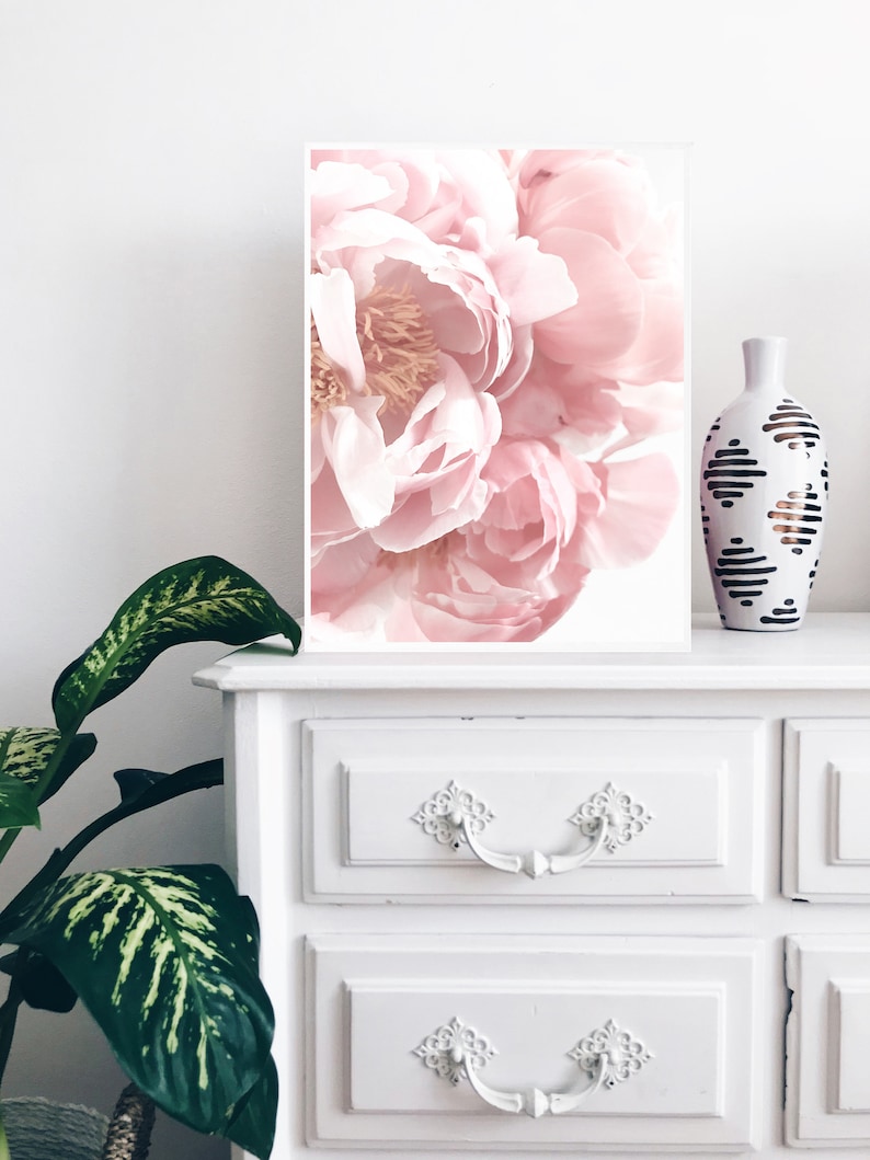 Peony Print Blush Pink Wall Art Flower Poster Pastel Decor Etsy