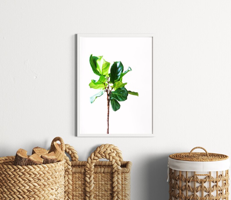 Leaf Art Print Botanical Wall Art Green Leaf Art Nature Etsy