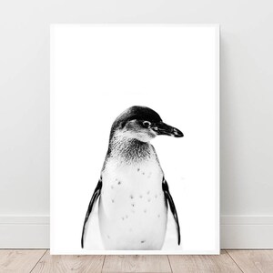 Penguin Print, Nursery Wall Art, Baby Penguin Poster, Black and White, Penguin Printable Art, Digital Download, Nursery Penguin Wall Decor