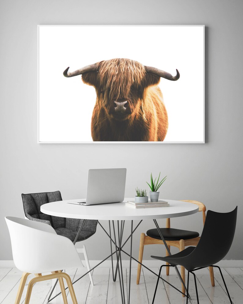 Highland Cow Print Bull Wall Art Wild Cow Poster Bohemian Etsy