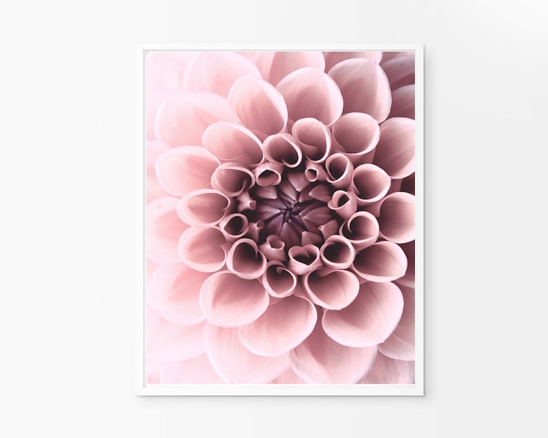 Dahlia Print Pink Blush Wall Art Flower Wall Decor Digital - Etsy