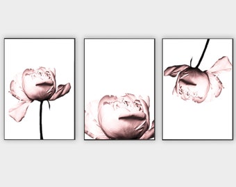 Blush Pink Peony Photography Prints, Set of 3 (Digital Printable)