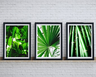 monstera wall art, bamboo printable art, green plants tropical wall decor, palm leaf poster, leaves print, botanical wall set of 3, bathroom