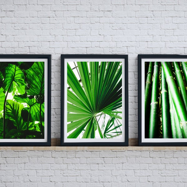 monstera wall art, bamboo printable art, green plants tropical wall decor, palm leaf poster, leaves print, botanical wall set of 3, bathroom