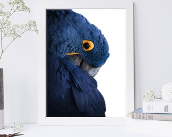 Blue Parrot Art Print, Minimalist Bird Poster (Digital Download)