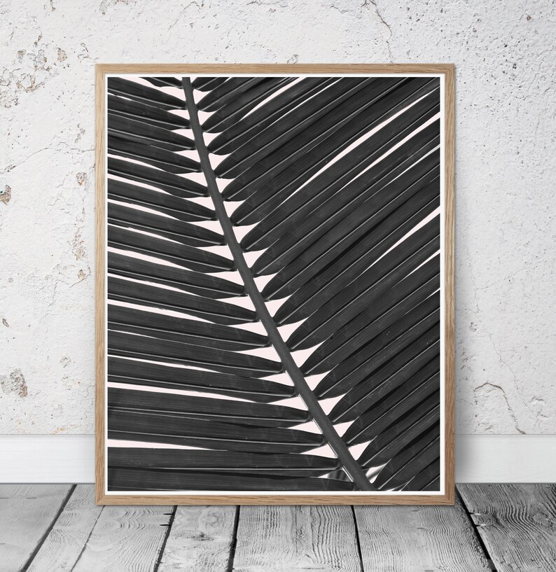 Tropical Leaves Art Print Set of 3 Monstera Wall Art Palm Etsy Canada