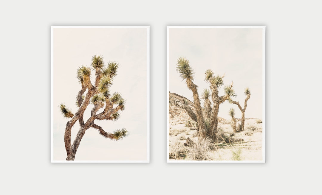 Joshua Tree Print Set, Desert Photography, Boho Wall Art (digital Art ...