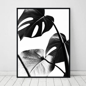 Monstera print, tropical leaves wall art, plant poster, black and white, minimal decor, bedroom digital download, botanical printable art image 1