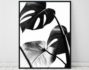 Monstera print, tropical leaves wall art, plant poster, black and white, minimal decor, bedroom digital download, botanical printable art