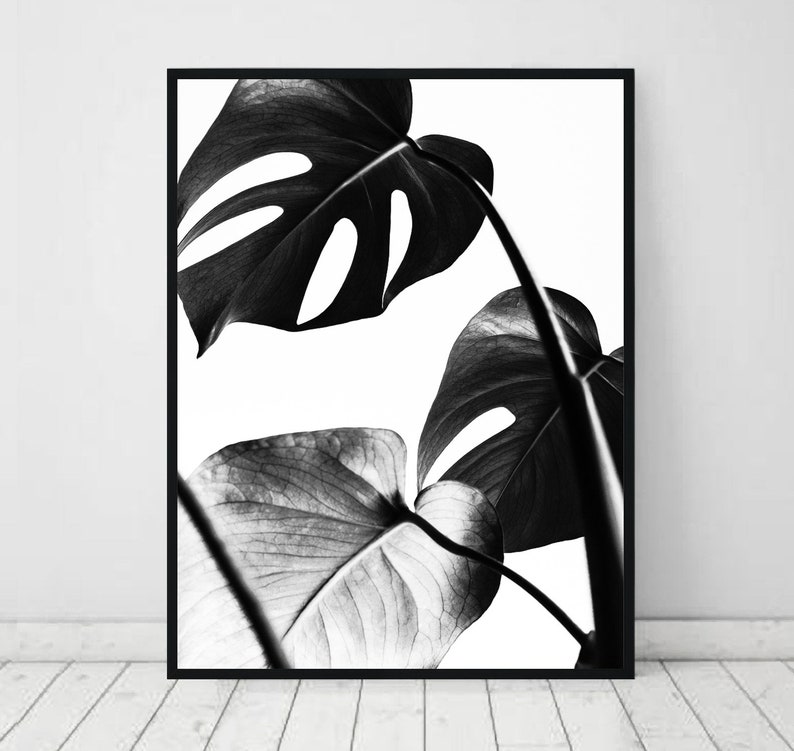 Monstera print, tropical leaves wall art, plant poster, black and white, minimal decor, bedroom digital download, botanical printable art image 1