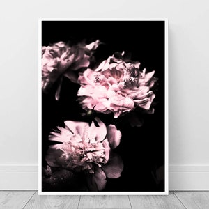 impresión de peonías, póster rosa ruborizado, arte de pared de flores, fotografía de naturaleza, decoración de pared de vivero, descarga digital, arte escandinavo, peonía rosa