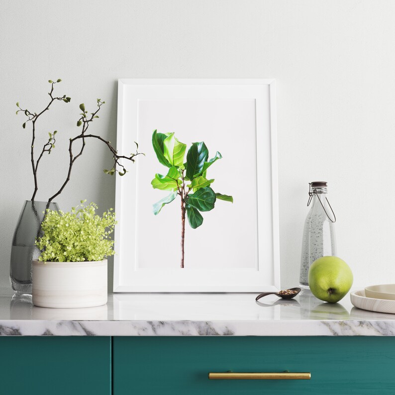 Leaf Art Print Botanical Wall Art Green Leaf Art Nature Etsy