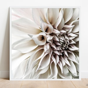 Dahlia Print, White Flower Art Print, Grey Pink Decor, Minimal Wall Art, Square Printable Art, Nordic Home, Dahlia Petals Print, Digital Art