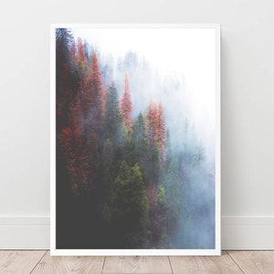 May include: A misty forest scene with tall trees, some with orange leaves, in the background. The fog creates a soft, ethereal atmosphere.