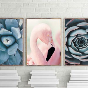 Flamingo druckbare Kunst, Sukkulenten Druck, Kaktus Poster, Tropisches Dekor, Kaktus Wandkunst, Pink Flamingo Poster, Boho Dekor, Digital Cactus Art