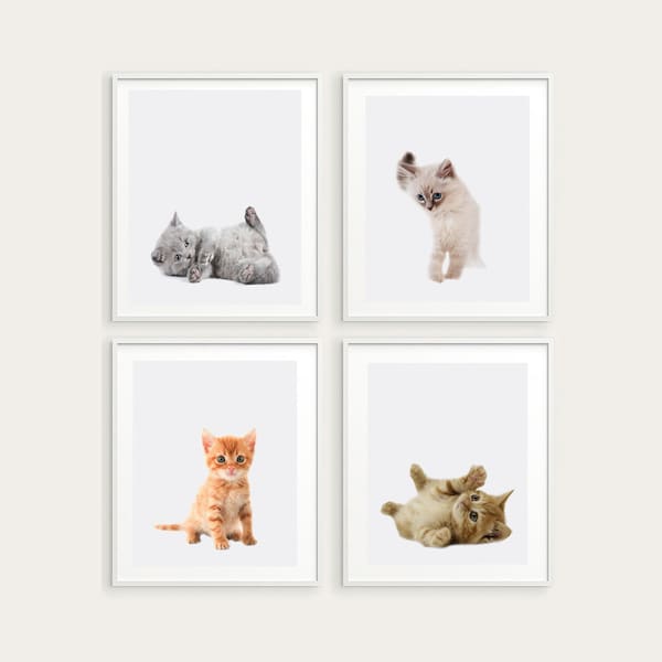 set of 4 cat prints, nursery wall art, kitties printable art, kitty poster, kittens print, little kitties wall decor,kitten instant download