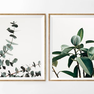Botanical Wall Art, Eucalyptus Print, Printable Art, Digital Download, Leaf Printable, Minimalist, Plant Poster, Art Prints, Greenery Decor