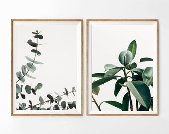 Set di stampe botaniche di eucalipto, arte murale verde (download digitale)