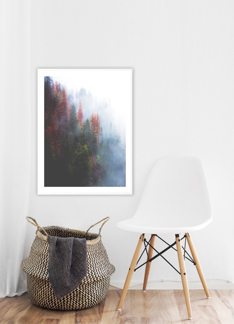 May include: A framed print of a misty forest scene with tall trees in shades of green and orange. The print is hanging on a white wall above a white chair with wooden legs.