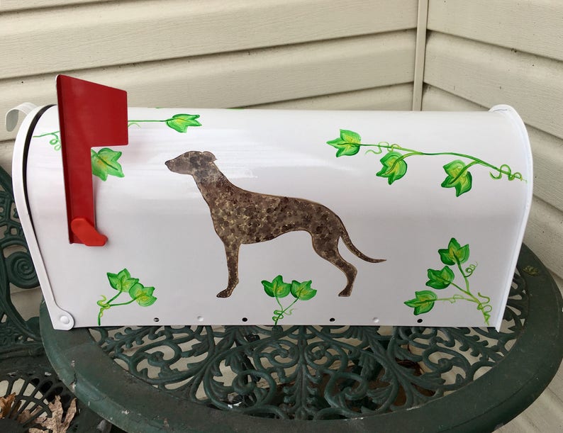 Greyhound Mailbox Custom Mailboxes Dog Mailbox Decorative Etsy