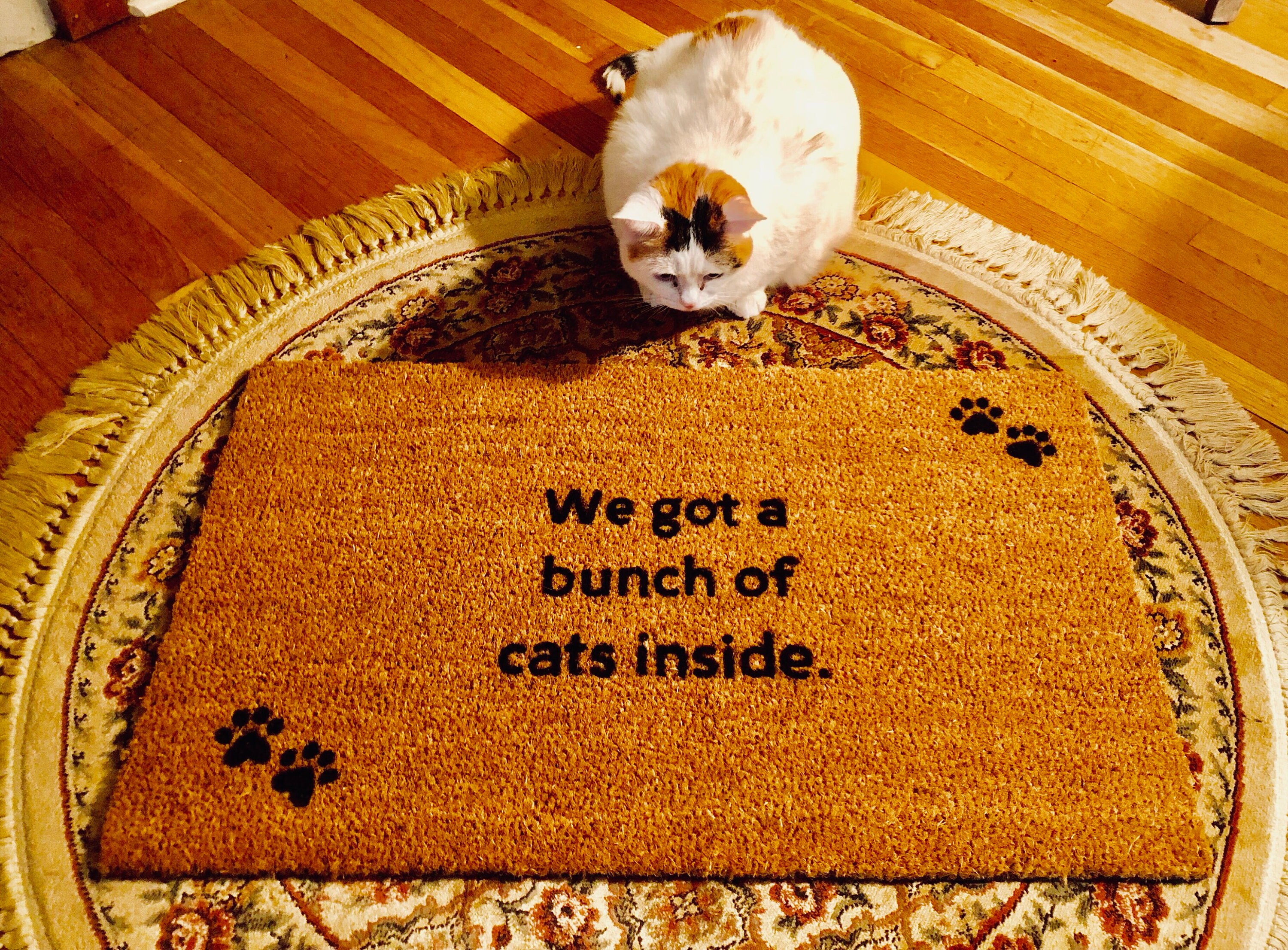 We got a bunch of cats inside doormat Cat Door Mat Door Mats Etsy