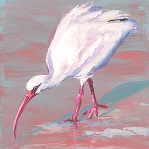 White Ibis Art: Looking for Mr. Goodclam, Fine art White Ibis print from original White Ibis Painting