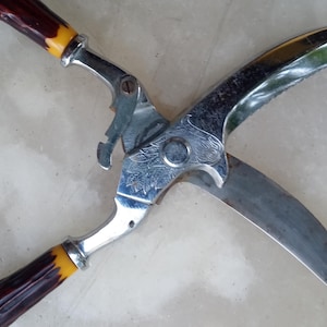 Regent Sheffield Poultry Shears - Made in Italy