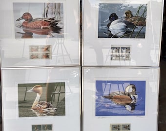Federal Duck Stamp Signed and Numbered Framed Prints set of 4, with Stamps