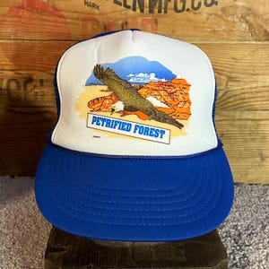 Petrified Forest Snapback Truckerkeps från 1990-talet | Vintage keps i nät med skallig örn