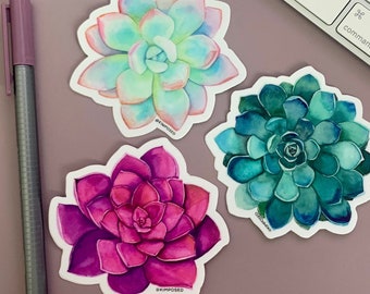 Best Sellers Trio Succulent Sticker Pack - Three 3" Waterproof Vinyl Stickers for Water Bottles, Laptops, Phones & More *FREE USA SHIPPING*