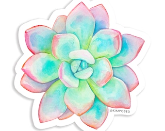 Pastel Succulent 3" Waterproof Vinyl Sticker for Water Bottles, Laptops, Phones & More **FREE USA SHIPPING**