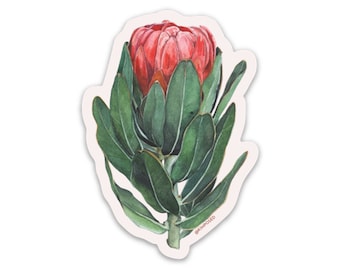 Protea Flower 3" Waterproof Vinyl Sticker for Water Bottles, Laptops, Phones & More **FREE USA SHIPPING**