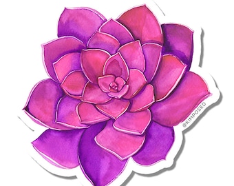 Pink and Purple Succulent 3" Waterproof Vinyl Sticker for Water Bottles, Laptops, Phones & More **FREE USA SHIPPING**