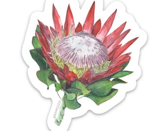 Protea Flower 3" Waterproof Vinyl Sticker for Water Bottles, Laptops, Phones & More **FREE USA SHIPPING**