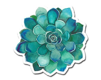 Teal Succulent 3" Waterproof Vinyl Sticker for Water Bottles, Laptops, Phones & More **FREE USA SHIPPING**