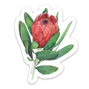 Protea Flower 3 "Waterdichte Vinyl Sticker voor waterflessen, laptops, telefoons > meer ** GRATIS VERZENDING IN DE VS **